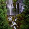 Lower Proxy Falls east of McKenzie Pass in the Three Sisters Wilderness Area